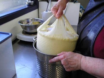 Basic Cheesemaking Process