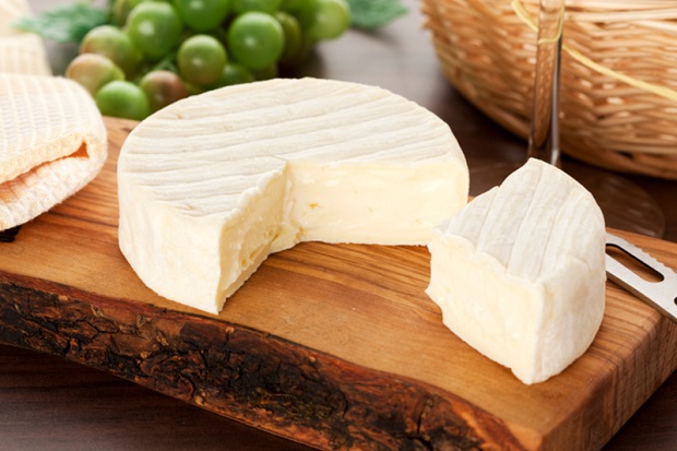 robiola cheese