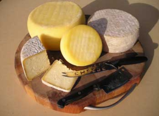 Cwmglyn Farmhouse Cheese